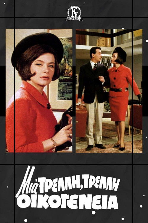 A Crazy Crazy Family (1965) poster