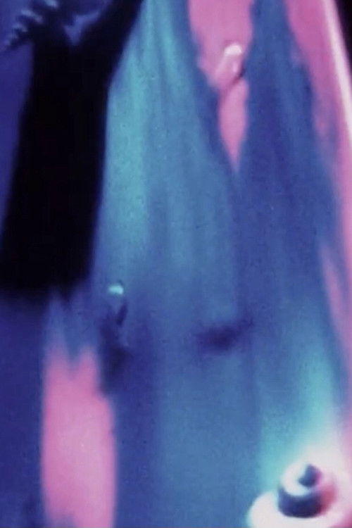 Mandala Opus #7 - Poema Dell'Estasi (1997) poster