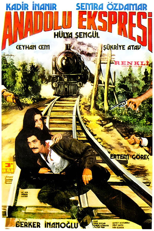 Anadolu Ekspresi (1973) poster