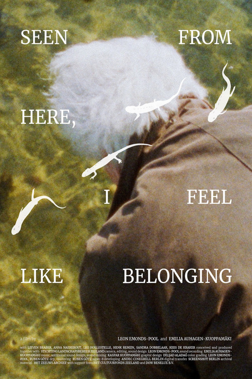 Seen From Here, I Feel Like Belonging (2025) poster