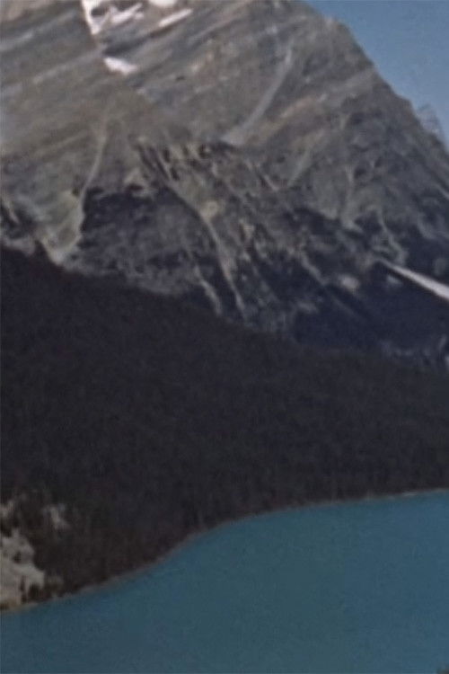 Wildlife in the Rockies (1957) poster