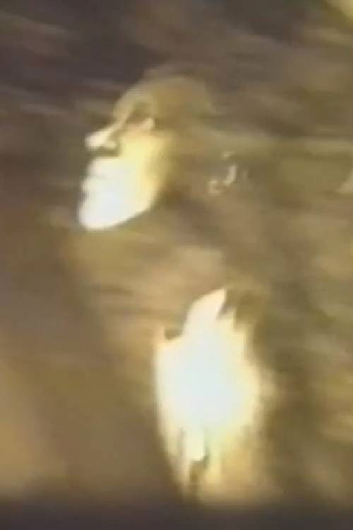 Unknown Title (1988) poster