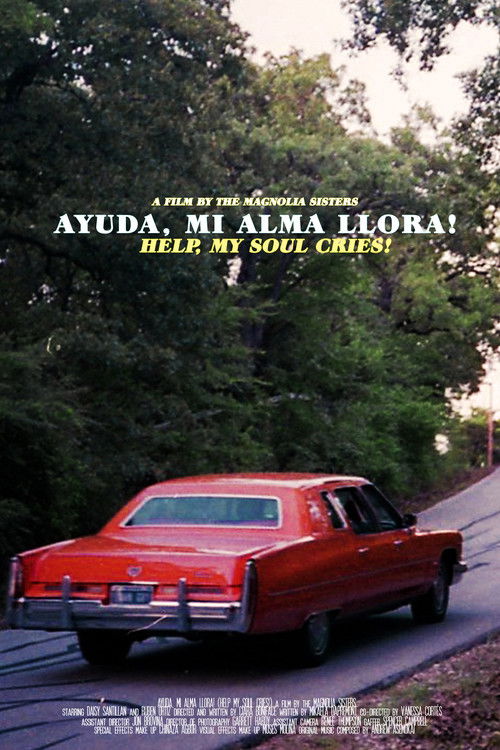 Help, My Soul Cries! (2019) poster