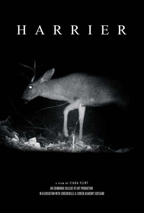 Harrier (2022) poster