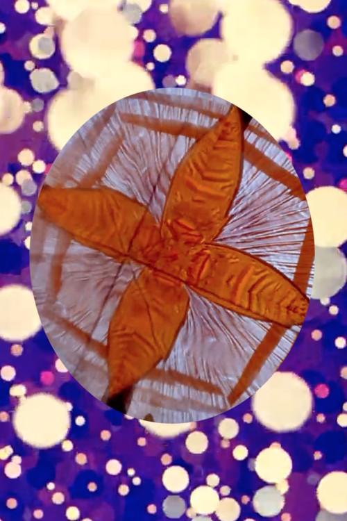 Ballet mitocondrial (2021) poster