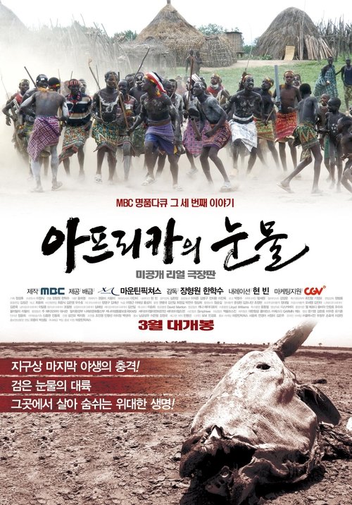 Tears of Africa (2011) poster
