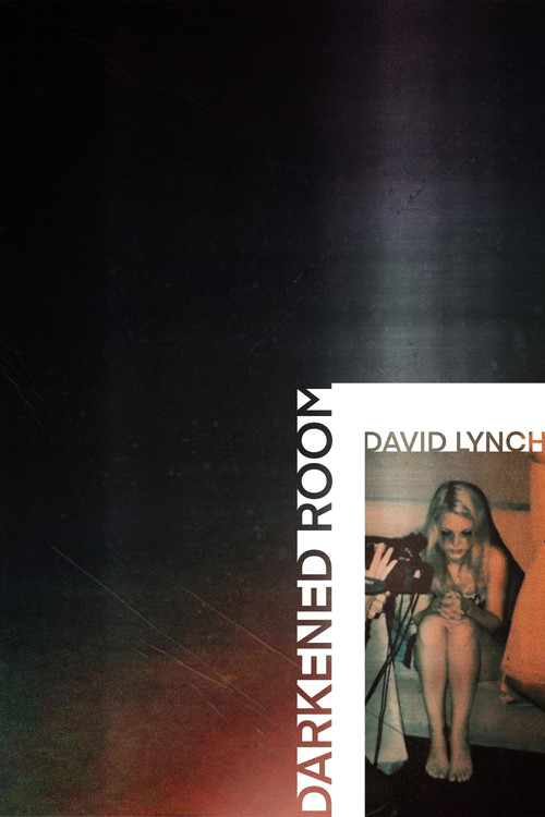 Darkened Room (2002) poster