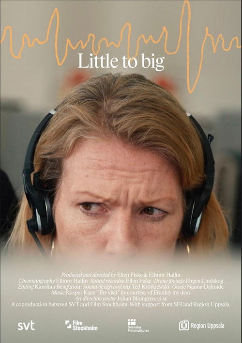 Det stora och det lilla (2022) poster