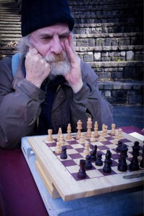 Mechanical Birds (2018) poster