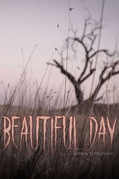 Beautiful Day (2020) poster