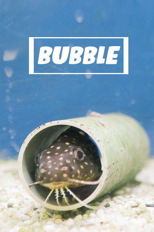 Bubble (2020) poster