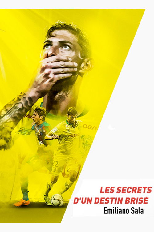 Emiliano Sala, les secrets d'un destin brisé (2019) poster