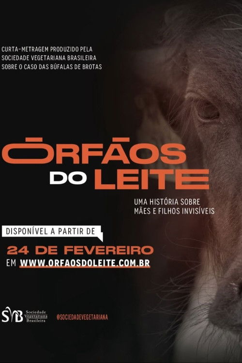 Órfãos do Leite: Uma história sobre mães e filhos invisíveis poster