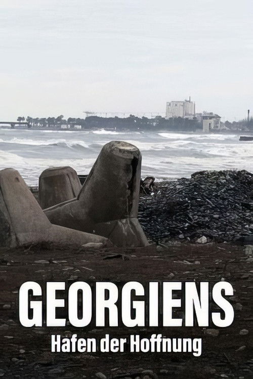 Géorgie - Le port de tous les enjeux (2022) poster