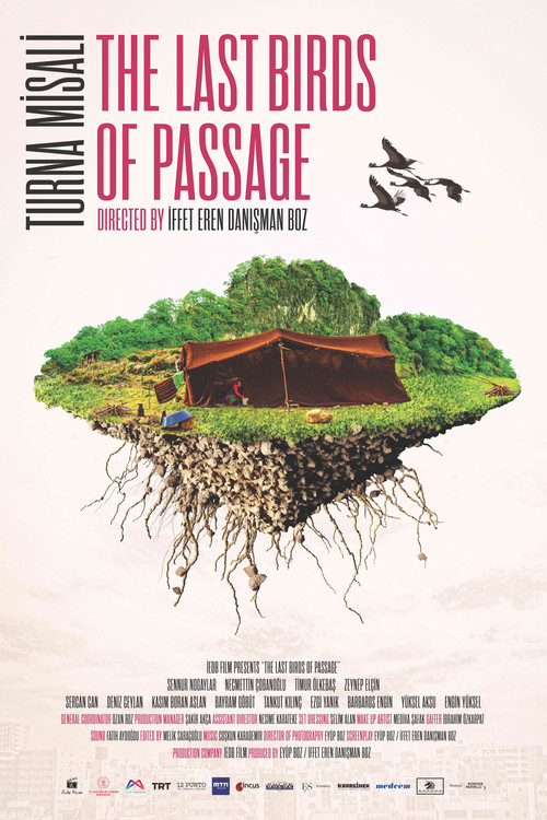 The Last Birds of Passage (2021) poster