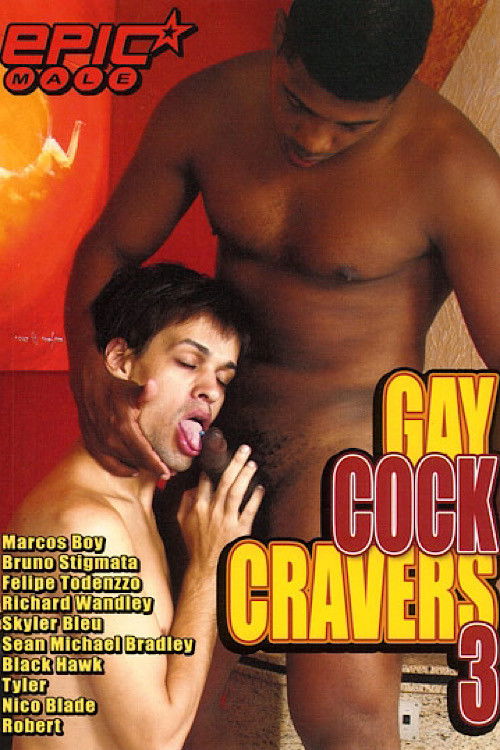 Gay Cock Cravers 3 (2011) poster