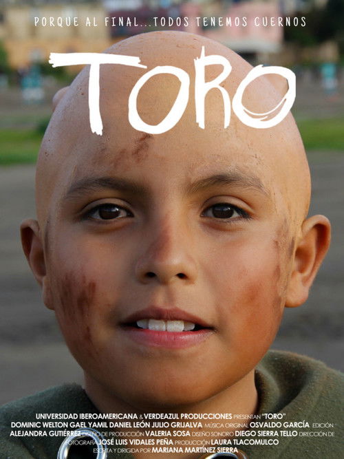 TORO (2019) poster