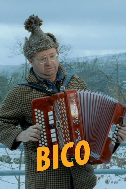 Bico (2004) poster