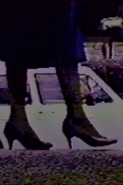 Mex-Metr (1987) poster