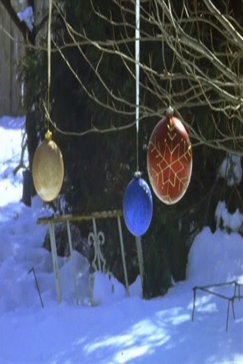 You Can See the Sun in Late December (2010) poster