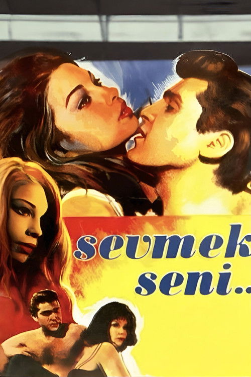 Sevmek Seni (1965) poster