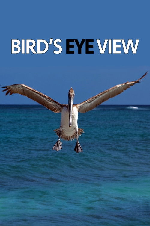 Bird's Eye View (2020) poster