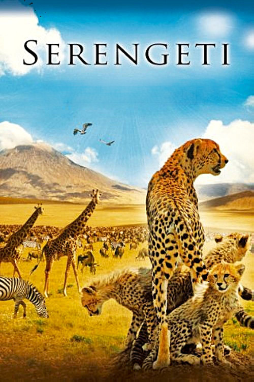 Serengeti (2011) poster