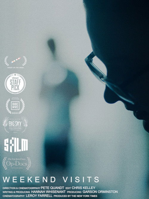 Weekend Visits (2024) poster