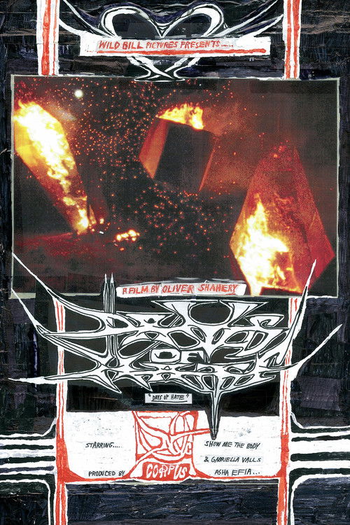 Days of Hate (2024) poster