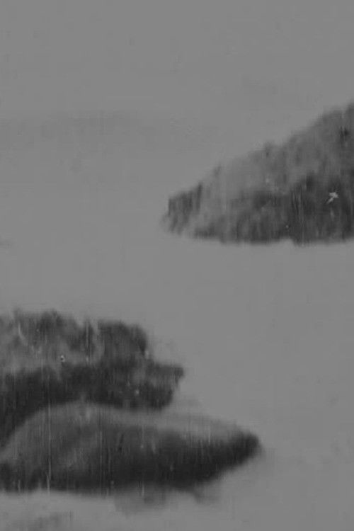 Rocky Shore (1896) poster