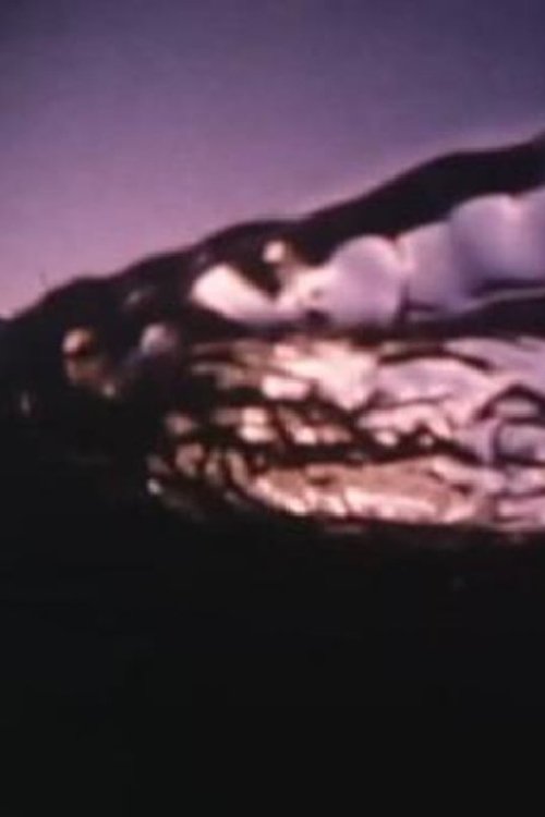 Echoes (1973) poster