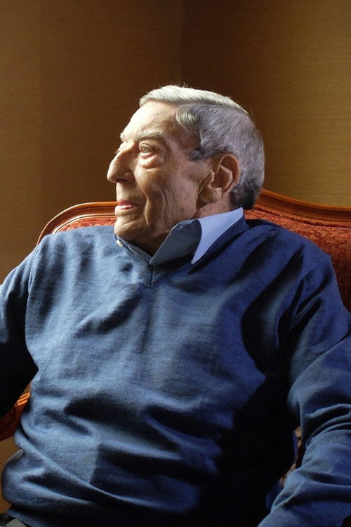 E. Noël Spinelli: Sharing the Magic of Music (2019) poster