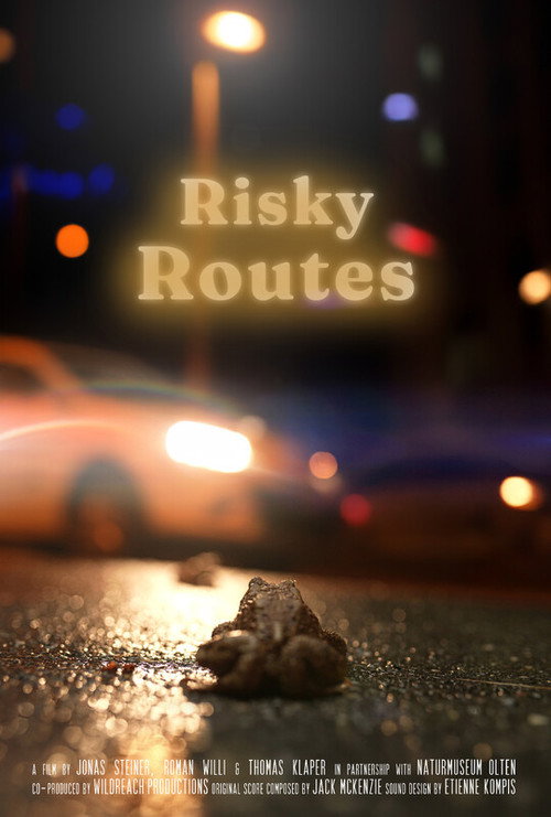 Risky Routes (2026) poster
