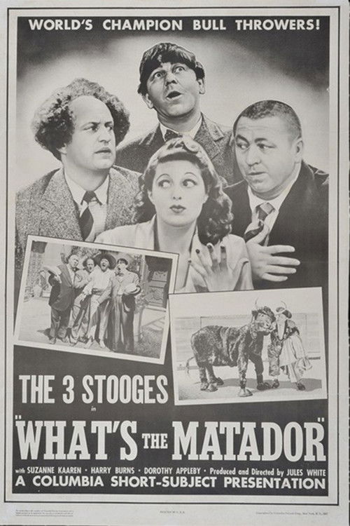 What's the Matador? (1942) poster