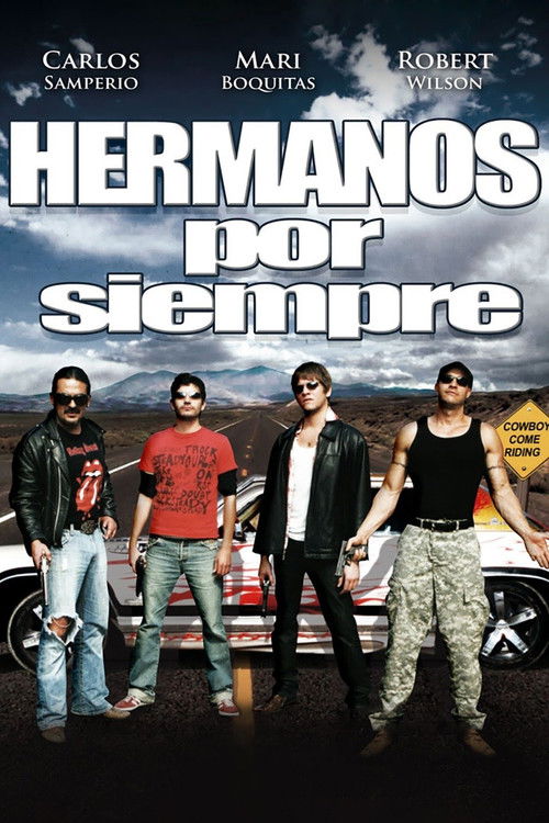 Cowboys Come Riding (2008) poster