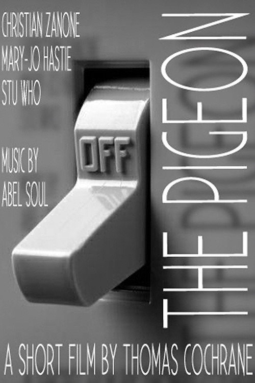 The Pigeon (2013) poster