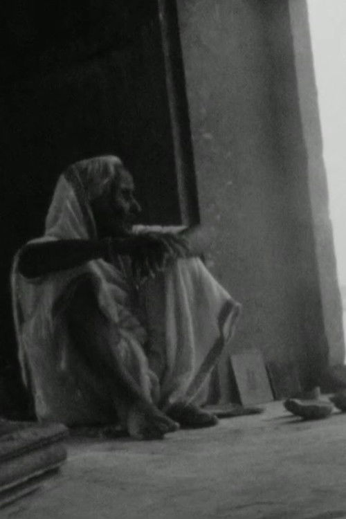 Va, Regarde - 2 (2009) poster