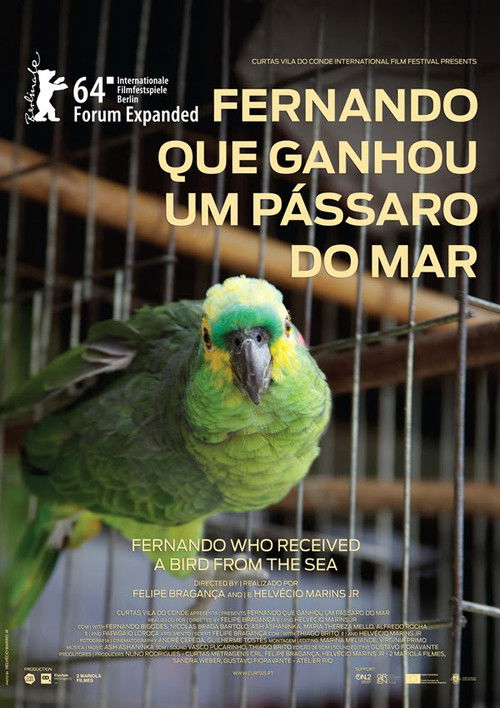 Fernando Who Received a Bird from the Sea (2014) poster