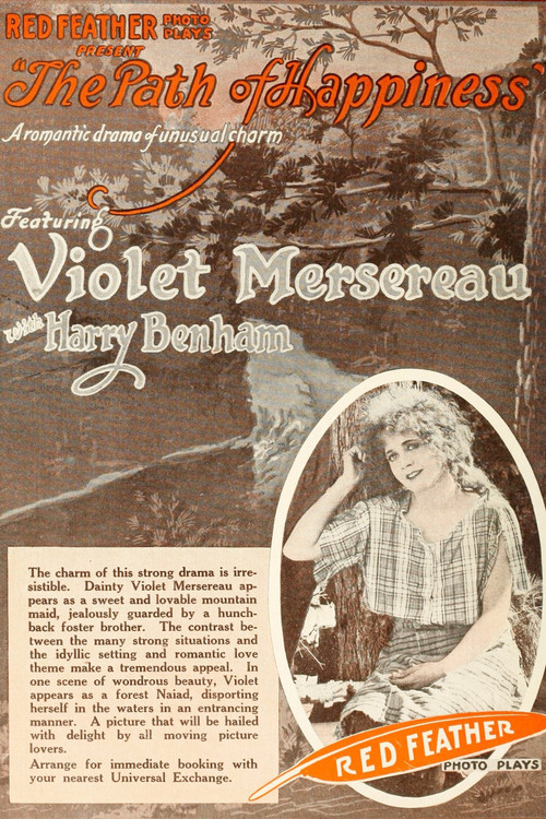The Path of Happiness (1916) poster