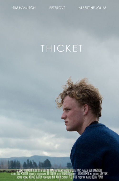 Thicket (2017) poster