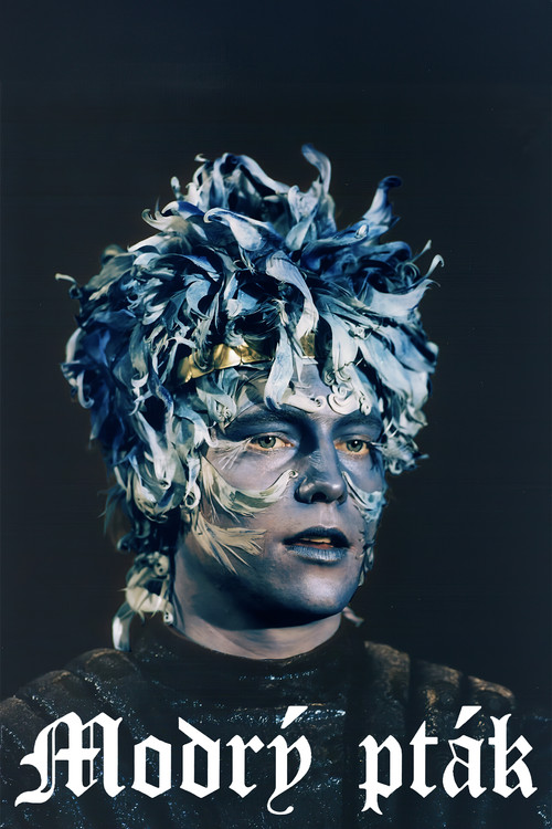 Modrý pták (1993) poster