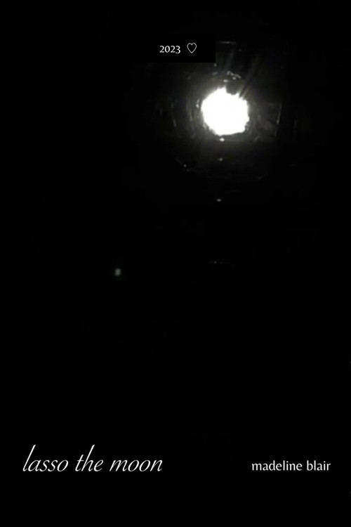 lasso the moon poster