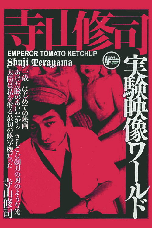 Emperor Tomato Ketchup (1971) poster
