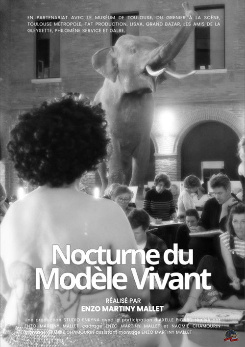 Nocturne du Modèle Vivant poster