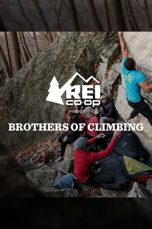 Brothers of Climbing (2017) poster