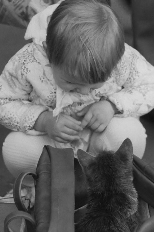 Linnaloom (1982) poster