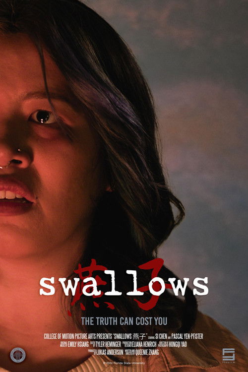 swallows燕子 (2024) poster