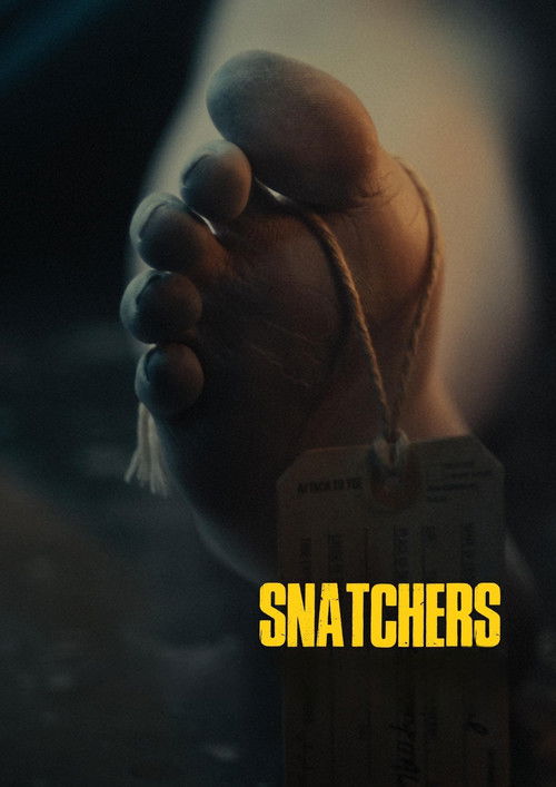 Snatchers (2025) poster