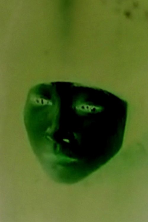 Forbidden City (2024) poster