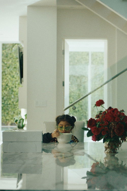 Rootless (2022) poster